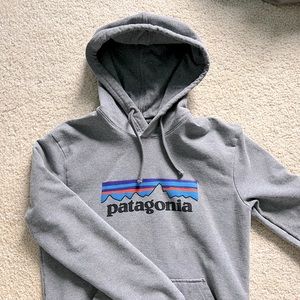 Gray Uprisal Patagonia Hoodie